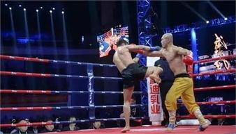 武林风爆料新闻,最新爆料新闻背后的故事