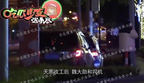 魏大勋上海最新爆料,揭秘最新爆料背后的精彩故事