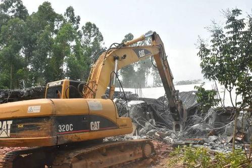 廉江爆料新闻,最新民生事件追踪