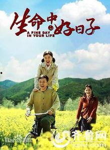 生命中的好日子在线观看,在线观看，感受美好时光的瞬间